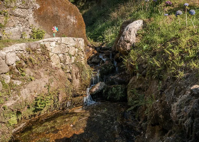 Casa Ze Manel - 펜션 *